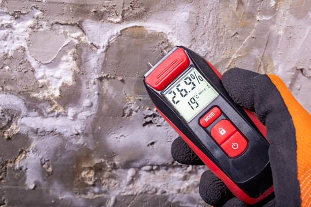 Best Preventive Mold Services in Franklin, NH